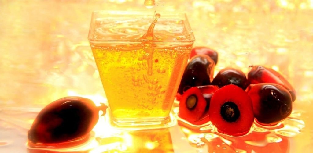 40 Fascinating Facts about Palm Oil