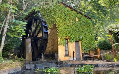 Serene Luxury at Kenwood Inn & Spa in Sonoma Wine Country