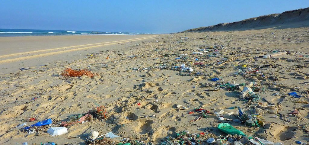 30 Awesome Plastic Free Products (for Plastic Free July & Beyond)