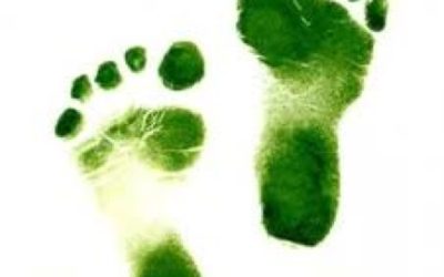 GO GREEN TIP #65: Baby Steps To Green